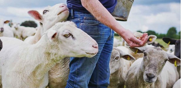 Πήγαν ταμείο… οι κτηνοτρόφοι της Μαγνησίας