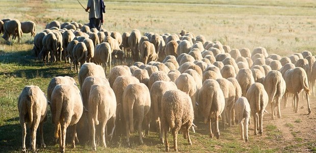 Την επόμενη εβδομάδα η εξειδίκευση των μέτρων στήριξής τους