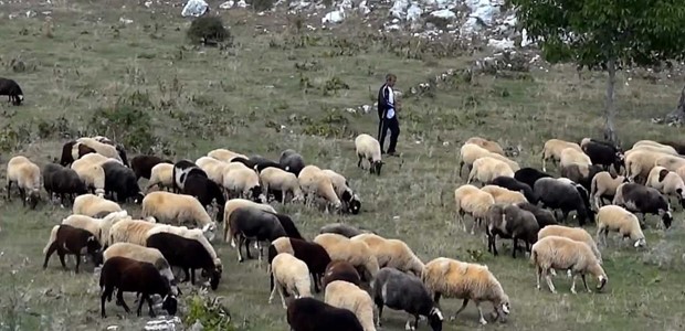 “Η κτηνοτροφία δεν χρειάζεται άλλες υποσχέσεις”