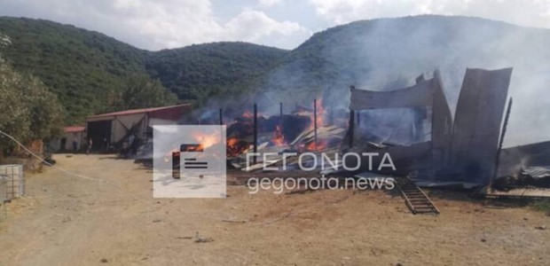 Μεγάλη φωτιά σε κτηνοτροφική μονάδα