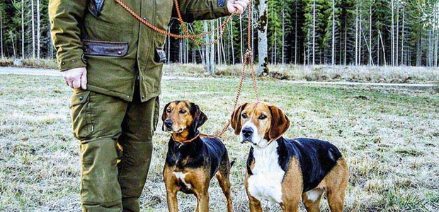 Μικρή κάμψη της ευλογιάς στη Θεσσαλία