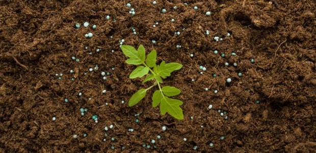 Πώς "τρέχει" η επιδότηση 15% έως τον Αύγουστο 