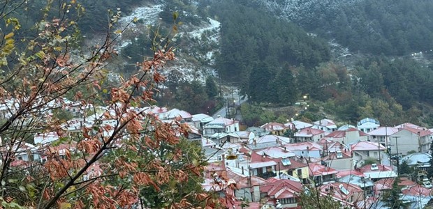 Δύο αρκούδες γυροφέρνουν στο Λιβάδι Ελασσόνας