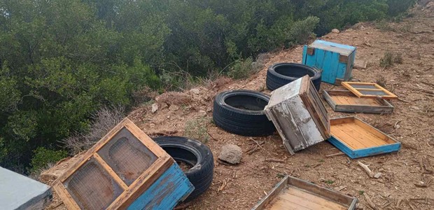 Νέες καταστροφές από αρκούδα σε κυψέλες στον Κίσσαβο