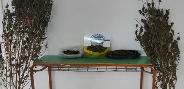 Συνελήφθη με ποσότητες κάνναβης στο σπίτι του