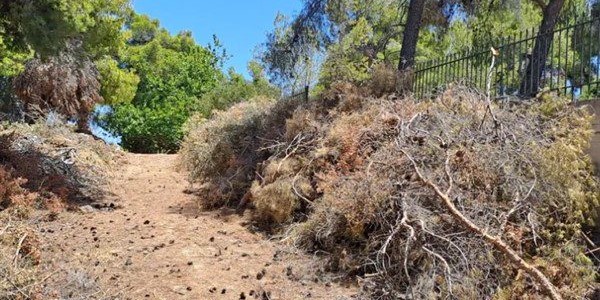 Πάνω από 1 εκατ. ευρώ για δράσεις πυροπροστασίας