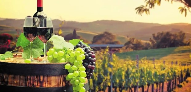 Η Θεσσαλία ανοίγει τα οινοποιεία της στο κοινό