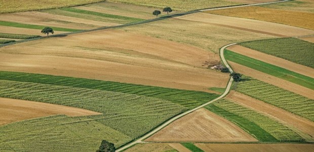 Ούτε ευρώ δεν επιστράφηκε από τις παράνομες επιδοτήσεις