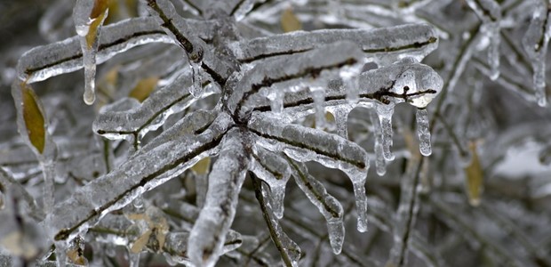 Παγωνιά και χιόνια σε περιοχές με χαμηλό υψόμετρο