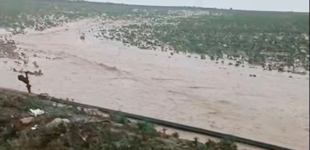 Τη Δευτέρα στα Φάρσαλα κλιμάκιο του ΕΛΓΑ