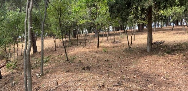 Συντονισμός για την αντιπυρική περίοδο