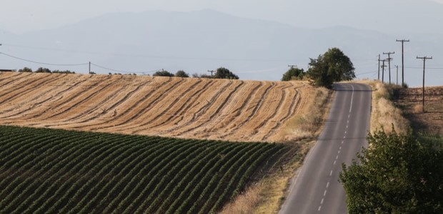 Διαθέσιμη η προκαταβολή της βασικής ενίσχυσης