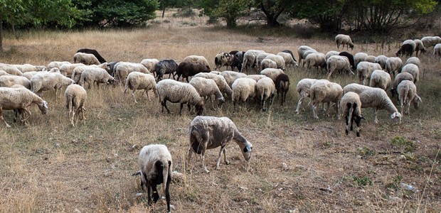 Παραμένουν σε ισχύ οι περιορισμοί στη Θεσσαλία