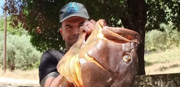 Ψαροντουφεκάς έβγαλε ροφό 27 κιλών