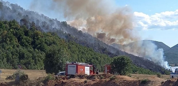 Πυρκαγιά στη Γαβριανή Μαγνησίας