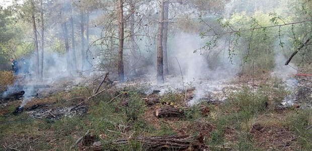 Βολιώτης ο 25χρονος που έβαλε φωτιά στο δάσος Σέιχ Σου