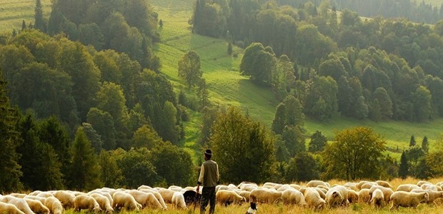 Θύματα εργασιακής εκμετάλλευσης 6 Βούλγαροι στα Φάρσαλα