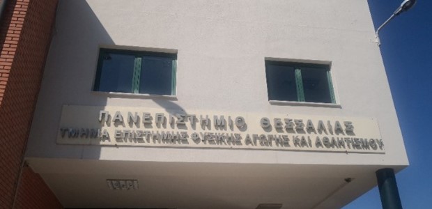 Εξαφανίσθηκαν οι αλάνες και οι χώροι άσκησης και παιχνιδιού