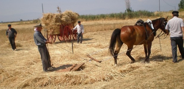 Όταν τα ανθρώπινα χέρια αντικαθιστούσαν τις μηχανές