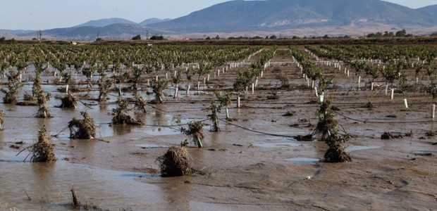 Αρχίζει η υποβολή αιτήσεων για χρηματοδότηση 