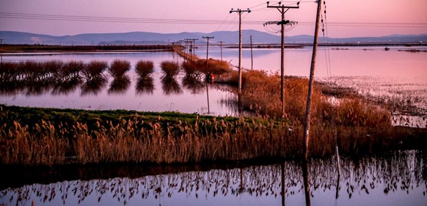 Πώς η κλιματική κρίση "σκοτώνει" τις φετινές καλλιέργειες