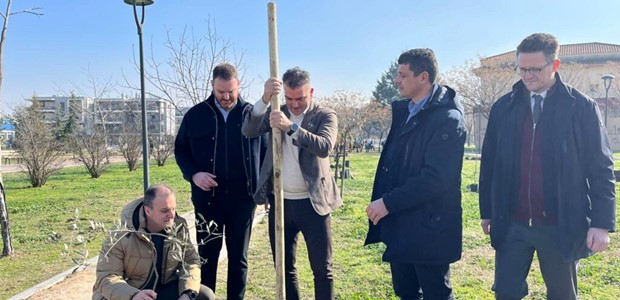 Φυτεύτηκαν 225 δέντρα στο Πάρκο των Χρωμάτων