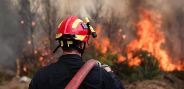 Πυρκαγιά σε δασική περιοχή του Αγίου Γεωργίου Καρδίτσας 