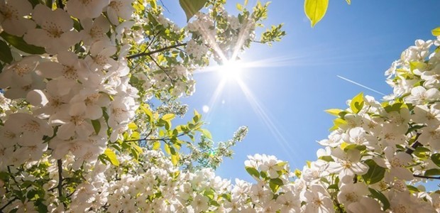 Τους 26°C πλησίασε η θερμοκρασία το μεσημέρι της 25ης Μαρτίου 