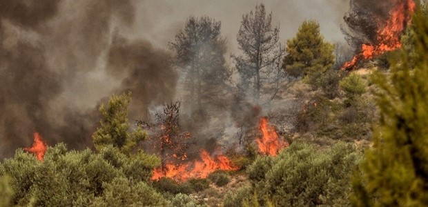 Πυρκαγιά σε δασική έκταση