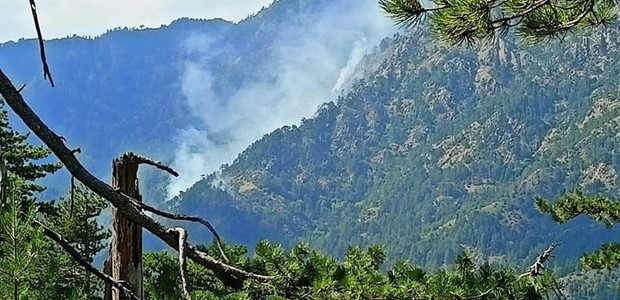 Έσβησε η φωτιά στον εθνικό δρυμό της Βάλια Κάλντα