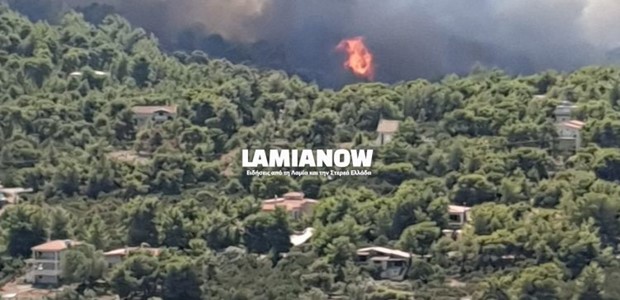 Μεγάλη φωτιά στον ΟΣΜΑΕΣ στο Θεολόγο