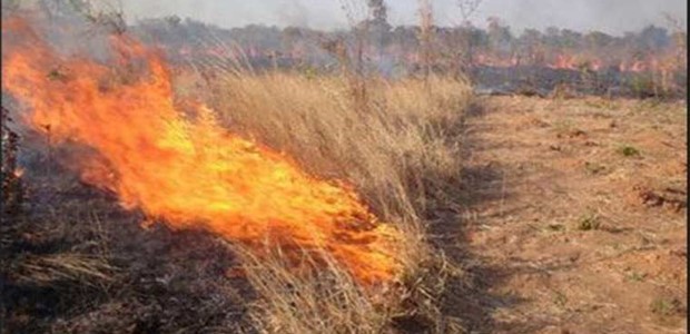 400 ευρώ πρόστιμο σε 91χρονο για φωτιά σε οικόπεδο