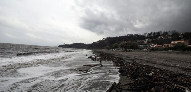 Εντοπίστηκε νεκρός ο αγνοούμενος κτηνοτρόφος στην Εύβοια
