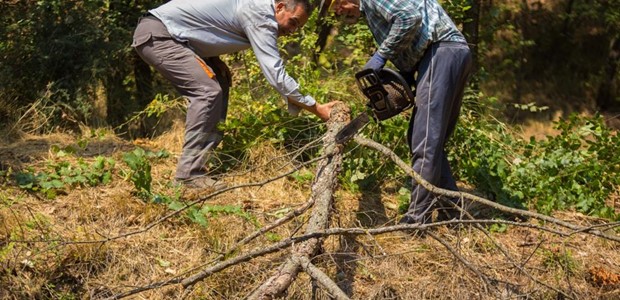 Εργασίες πυροπροστασίας στο άλσος του Προφήτη Ηλία 