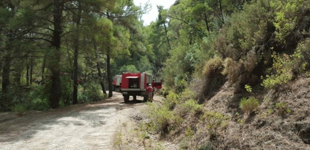 Περιπολίες και επιφυλακή περιλαμβάνει για την δασοπροστασία