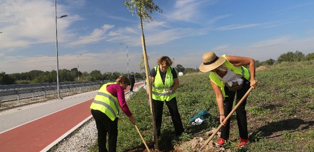 Εθελοντές φύτευσαν 230 νέα δένδρα