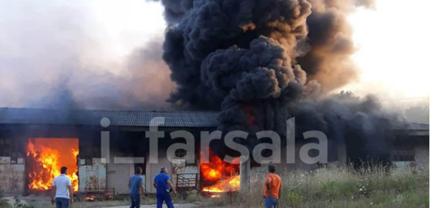 Στάχτη έγιναν 20.000 δέματα άχυρο και τριφύλλι (BINTEO)
