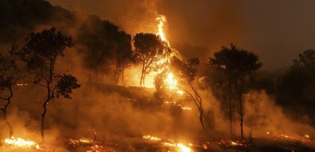 Καίγεται το πευκοδάσος στην Πάρνηθα