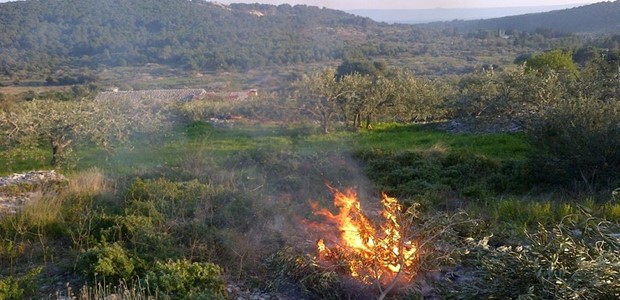 Δεκάδες οι πυρκαγιές από καλλιέργειες