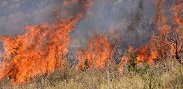 Απαγόρευση καύσης φυτικών υπολειμμάτων καλλιεργειών