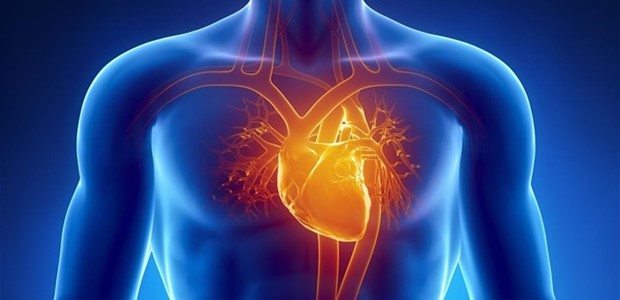 Ελληνική μελέτη για την καρδιοτοξικότητα του νέου ιού