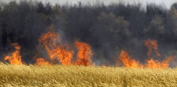 Απαγορεύεται η καύση φυτικών υπολειμμάτων καλλιεργειών