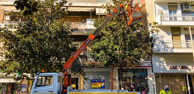 Συνεχίζεται το κλάδεμα για την προστασία δέντρων και πεζών