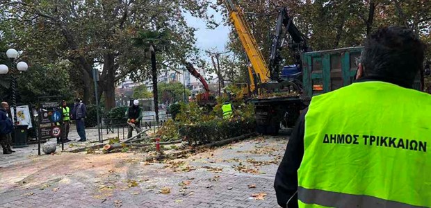 Συνεχίζεται το κλάδεμα των δέντρων σε σημεία της πόλης 