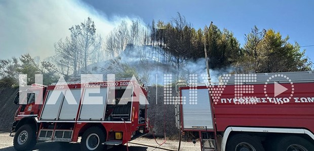 Συναγερμός στην Πυροσβεστική: Πυρκαγιά στην Αρχαία Ολυμπία