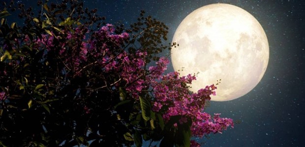 Πότε θα τη δούμε στην Ελλάδα και γιατί πήρε το όνομά της