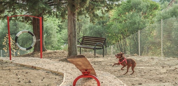 Πάρκο σκύλων στην πόλη με ανακυκλωμένα υλικά 