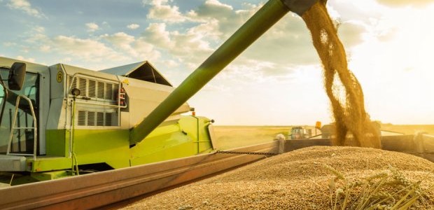 Μάζευε βρώμη από έκταση της Λίμνης Κάρλας και συνελήφθη