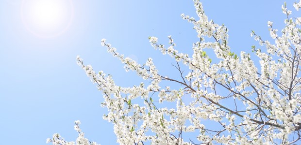 Καιρός: Μετά τις βροχές, έρχεται ηλιόλουστο Σαββατοκύριακο 