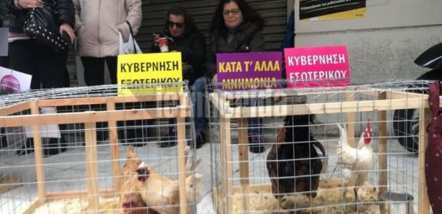 Διαμαρτυρία της ΠΟΕΔΗΝ με... κότες και κοκόρια 